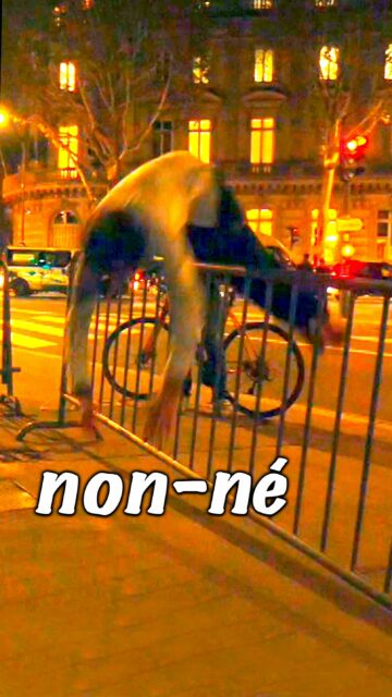 EXTRAIT DE MON LIVE DU 27 MARS 2026
VIDÉO INTÉGRALE : VOIR LIEN EN BIO...
TEXTE, PERFORMANCE
© HORS HUMAIN - 82 ANS, NON-NÉ…
L’INACHEVÉ - EXTRATERRIEN INDÉFINI
PRÉCURSEUR DES YAMAKASI / PARKOUR.
DÉCOUVREUR, CHERCHEUR, ENSEIGNANT
DE L’ÉLECTRICITÉ DES FOUDRES AUX CORPS À CORPS
LE SEUL MIRACLE SCIENTIFIQUEMENT PROUVÉ
MÉDIUM, MAGNÉTISEUR
ÉCRIVAIN, JOURNALISTE INDÉPENDANT
SYMPHONIC M.M.A. COSMIC
COMPOSITEUR, CHORÉGRAPHE DE LA MATIÈRE
NUCLÉAIRE ALCHIMIC ATOMIC DANCE
SPACE ARMS
Publié pour lecture gracieuse le 10 AVRIL 2026
sur Instagram. Code de la propriété intellectuelle Art L335-2
#sensualité  #shoot  #assembleéationale  #nouvellevague  #parisfrance